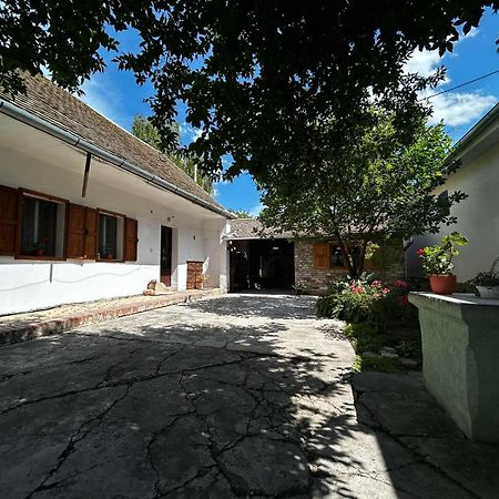 Oaza Mira Porodicna Kuca Za Opustanje Villa Apatin Eksteriør billede