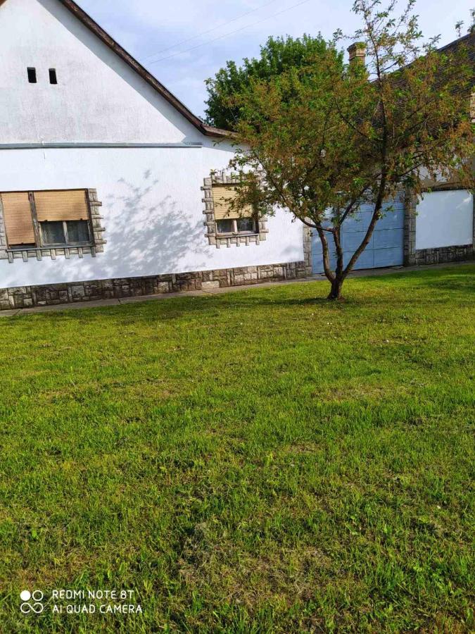 Oaza Mira Porodicna Kuca Za Opustanje Villa Apatin Eksteriør billede