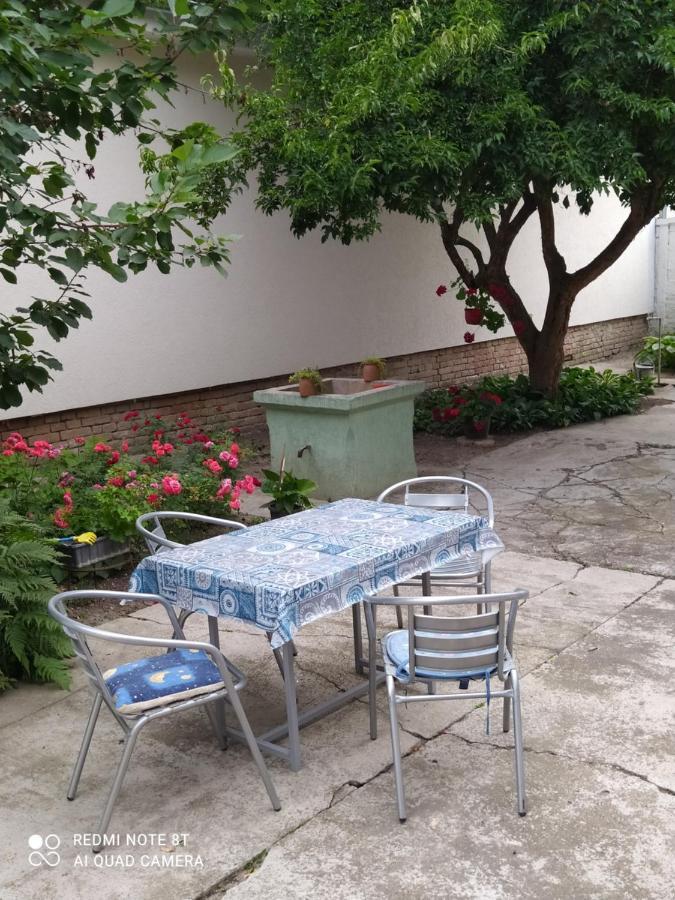 Oaza Mira Porodicna Kuca Za Opustanje Villa Apatin Eksteriør billede