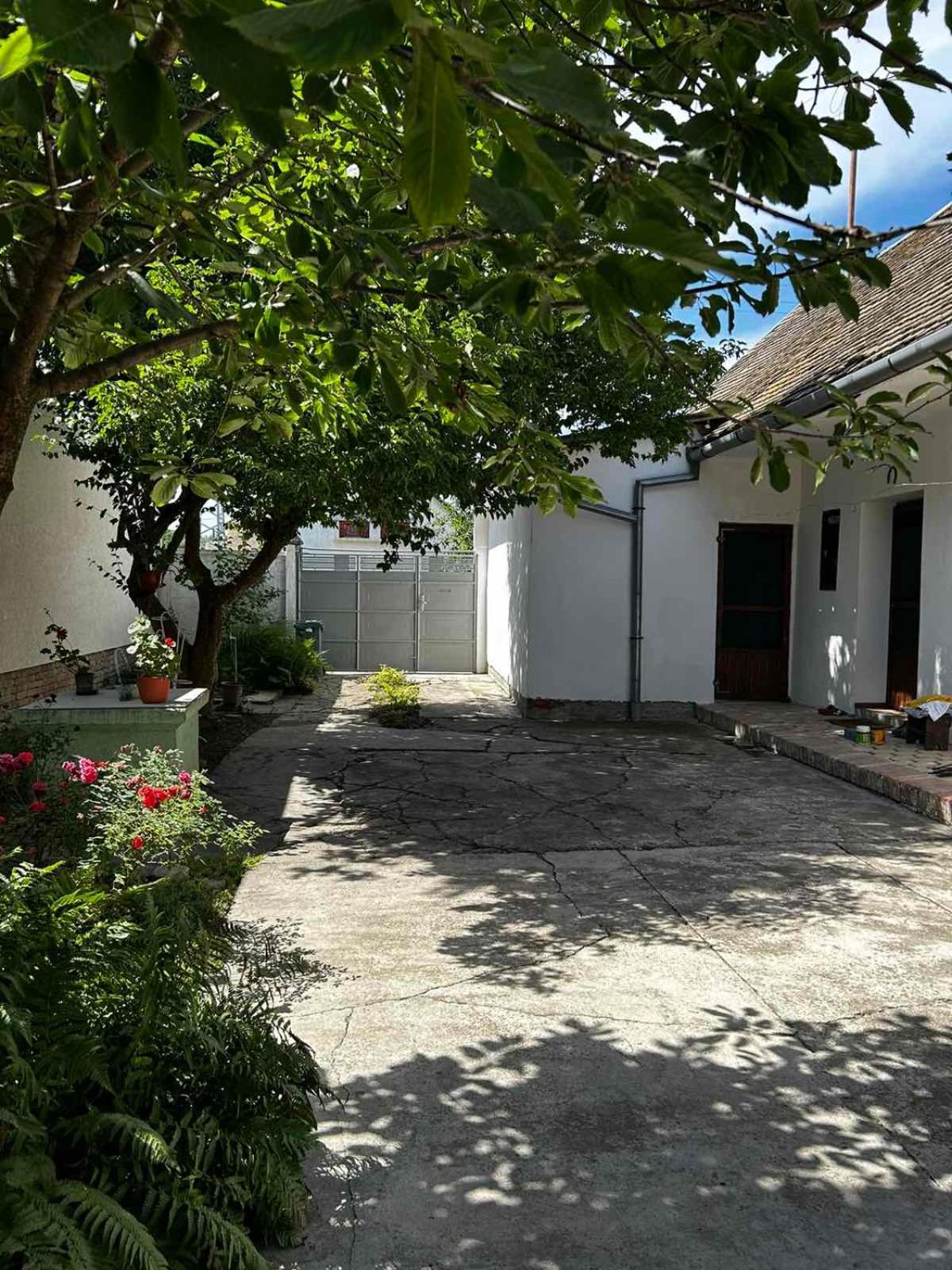 Oaza Mira Porodicna Kuca Za Opustanje Villa Apatin Eksteriør billede
